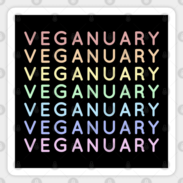 Veganuary Rainbow Pattern Magnet by Rice Paste